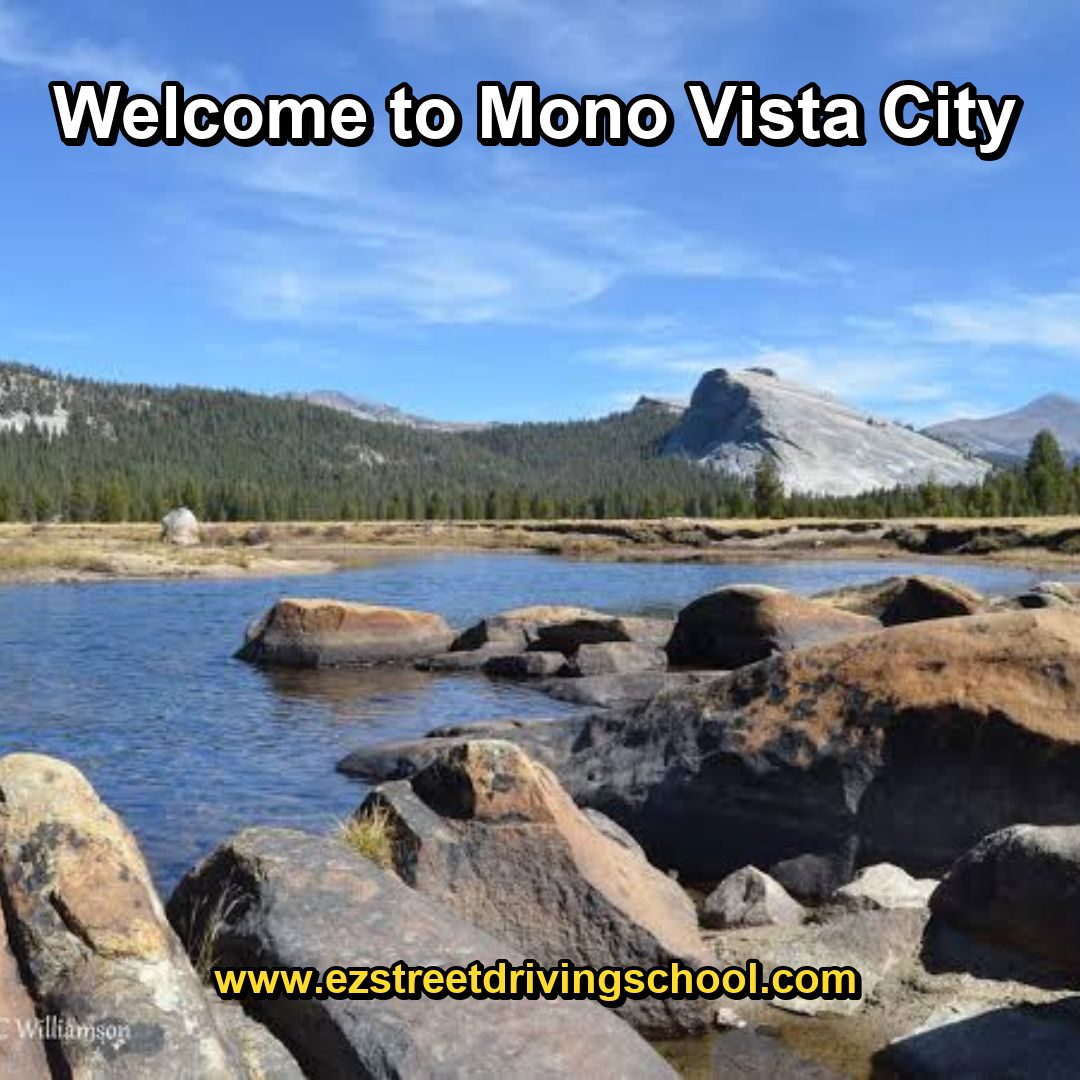 Driving Lessons in Mono Vista
